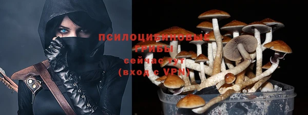 ешки Алексин