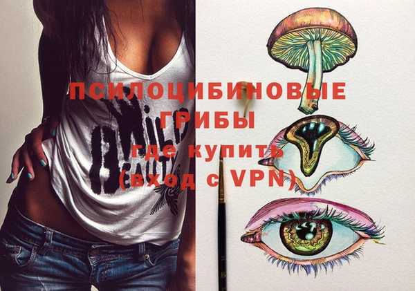 ешки Алексин