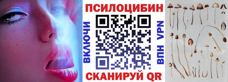 МЕГА вход  Спасск-Рязанский  Псилоцибиновые грибы Psilocybine cubensis 